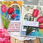 Copic Coloring on Pattern Paper + Bonus Cards