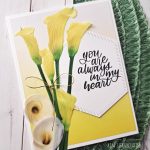 Pretty Florals using Scrapbook.com's Ombre Paper Pad and Pinkfresh Studio Essentials Dies